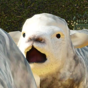 Meet your Posher, Josie